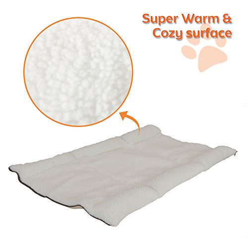 PARTYSAVING PET Palace 2-in-1 Pet Bed Snooze Tunnel and Mat for Pets Cats Dogs and Kittens for Travel or Home, APL1343, Beige