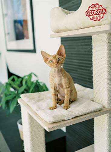 PAWMONA 60" Multi-Level Sturdy cat Tree condo | Made with Durable Natural Birch Wood, Square-Shaped Scratching-Posts, Covered, Natural sisal | Machine Washable - Made in Georgia