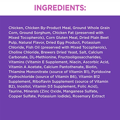 IAMS PROACTIVE HEALTH HEALTHY KITTEN Dry Cat Food with Fish Oil and Chicken, 7 lb. Bag