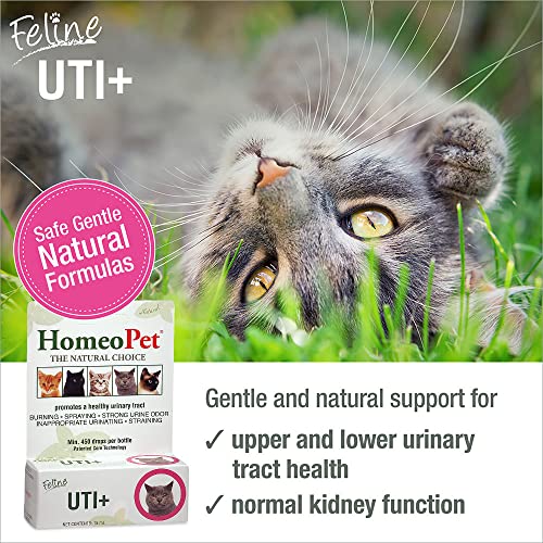 HomeoPet UTI Plus Urinary Tract Infection for Cats, 15ml