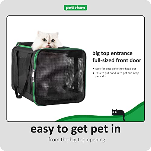 petisfam Large Cat Carrier for Large and Medium Cats and Small Dogs Offers a Comfy and Safe Way to Transport Your Fur Baby and Provides a high Level of Convenience for You