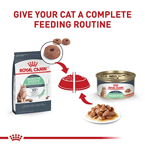 Royal Canin Digestive Care Dry Cat Food, 3 lb. bag