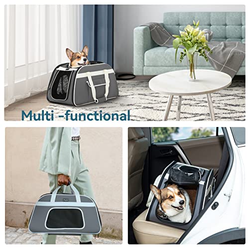 Petsfit Rolling Pet Carrier for Pets up to 28 Pounds, Not Airline Approved