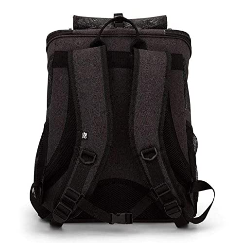 The Fat Cat Backpack for Larger Cats - Premium Pet Carrier Bag for Travel and Hiking