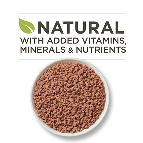 Purina ONE Natural, High Protein, Grain Free Pate Wet Cat Food, Ocean Whitefish Recipe - (24) 3 oz. Pull-Top Cans