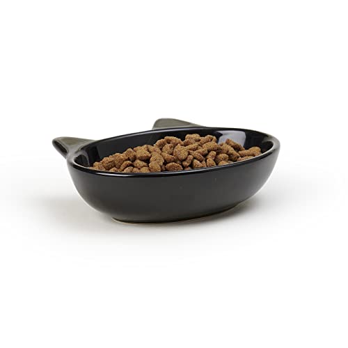 PetRageous Oval Frisky Kitty Pet Bowl, 5.5-Inch, Black