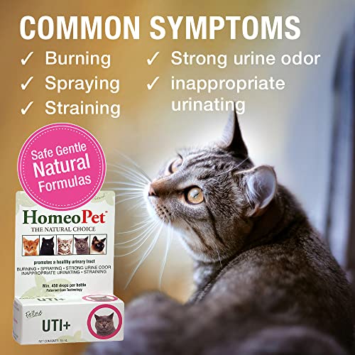 HomeoPet UTI Plus Urinary Tract Infection for Cats, 15ml
