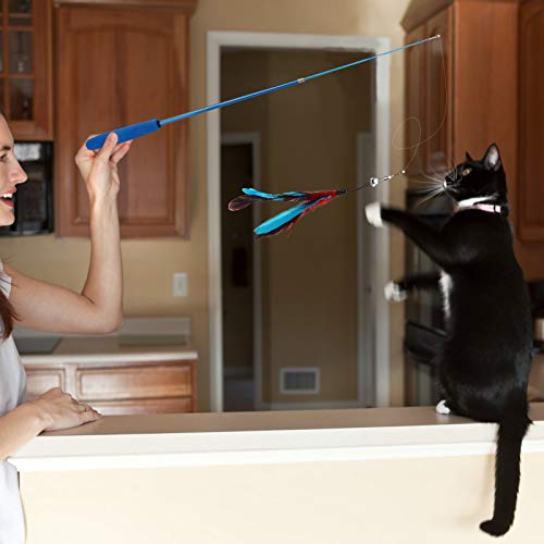 Depets Feather Teaser Cat Toy, Retractable Cat Wand Toy & 5PCS Assorted Teaser Refills with Bell, Interactive Catcher Teaser Toy Cat Feather Toy Funny Exercise for Indoor Cat and Kitten