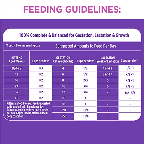 IAMS PROACTIVE HEALTH HEALTHY KITTEN Dry Cat Food with Fish Oil and Chicken, 7 lb. Bag