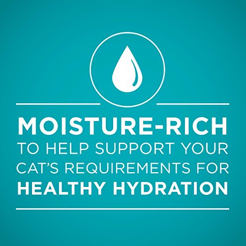 Purina ONE Natural, High Protein, Grain Free Pate Wet Cat Food, Ocean Whitefish Recipe - (24) 3 oz. Pull-Top Cans