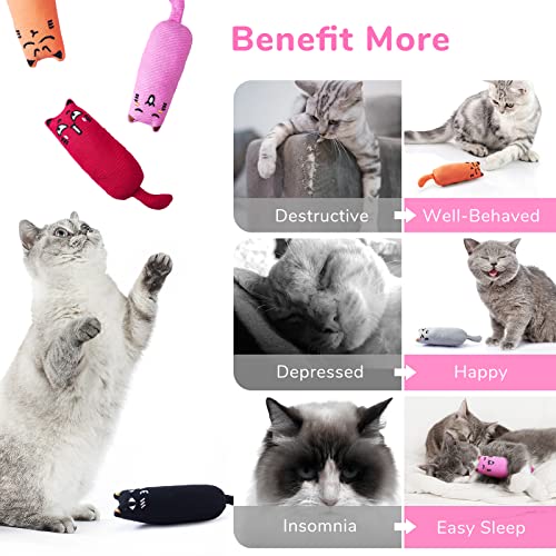 Legendog 5Pcs Catnip Toy, Cat Chew Toy Bite Resistant Catnip Toys for Cats,Catnip Filled Cartoon Mice Cat Teething Chew Toy