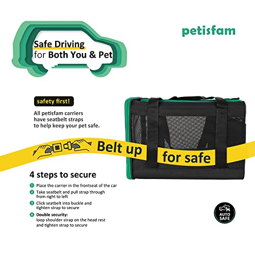 petisfam Large Cat Carrier for Large and Medium Cats and Small Dogs Offers a Comfy and Safe Way to Transport Your Fur Baby and Provides a high Level of Convenience for You