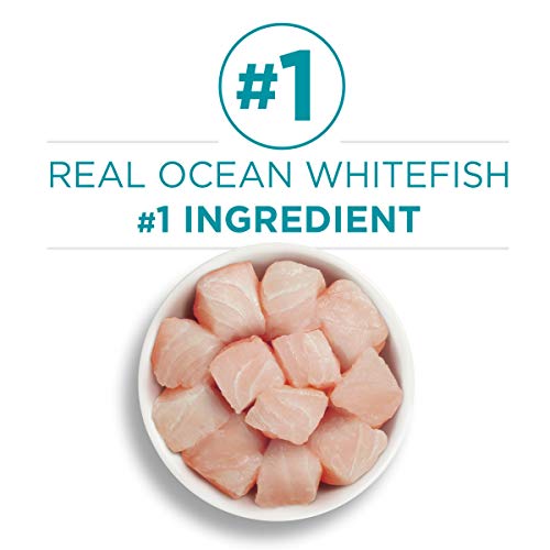 Purina ONE Natural, High Protein, Grain Free Pate Wet Cat Food, Ocean Whitefish Recipe - (24) 3 oz. Pull-Top Cans