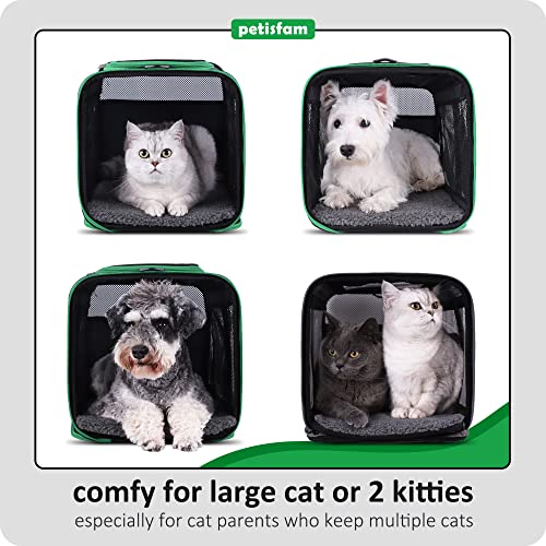 petisfam Large Cat Carrier for Large and Medium Cats and Small Dogs Offers a Comfy and Safe Way to Transport Your Fur Baby and Provides a high Level of Convenience for You