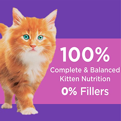 IAMS PROACTIVE HEALTH HEALTHY KITTEN Dry Cat Food with Fish Oil and Chicken, 7 lb. Bag