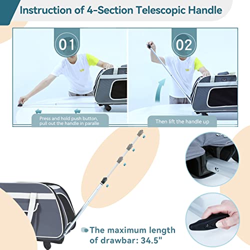 Petsfit Rolling Pet Carrier for Pets up to 28 Pounds, Not Airline Approved