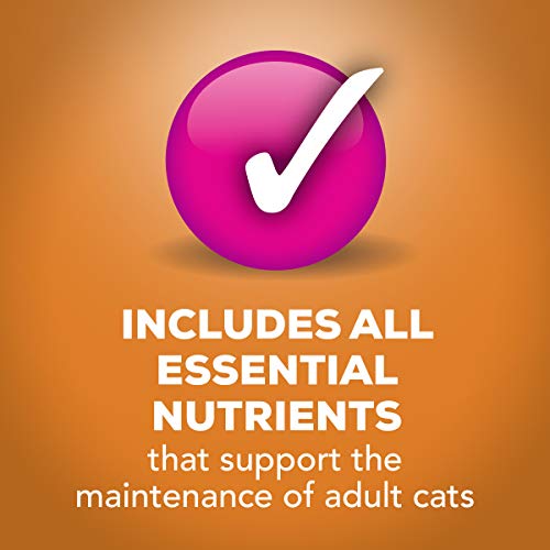 Purina Friskies Gravy Wet Cat Food Variety Pack, Extra Gravy Chunky - (24) 5.5 oz. Cans