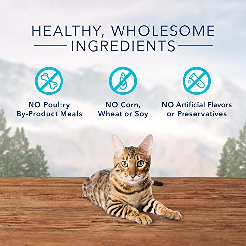 Blue Buffalo Wilderness Grain Free Crunchy Cat Treats, Chicken 12-oz Tub