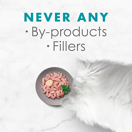 Purina Fancy Feast Wet Cat Food Complement, Appetizers Light Meat Tuna With a Scallop Topper - (10) 1.1 oz. Trays