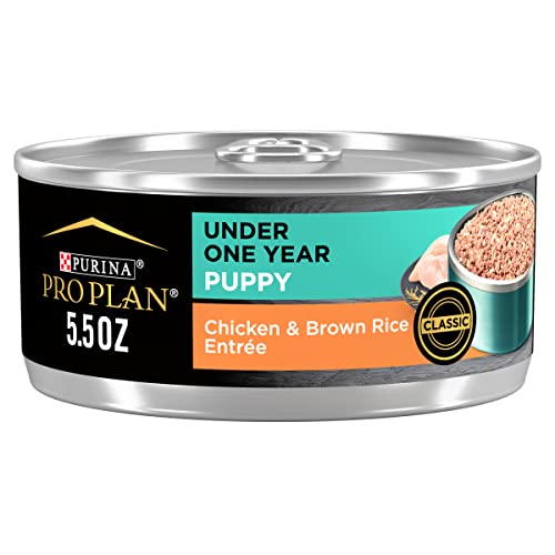 Purina Pro Plan Pate Wet Puppy Food, FOCUS Classic Chicken & Brown Rice Entree - (24) 5.5 oz. Cans