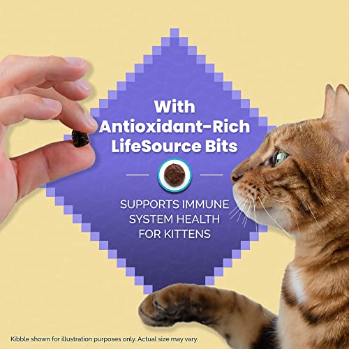 Blue Buffalo Wilderness High Protein Grain Free, Natural Kitten Dry Cat Food, Chicken 5-lb