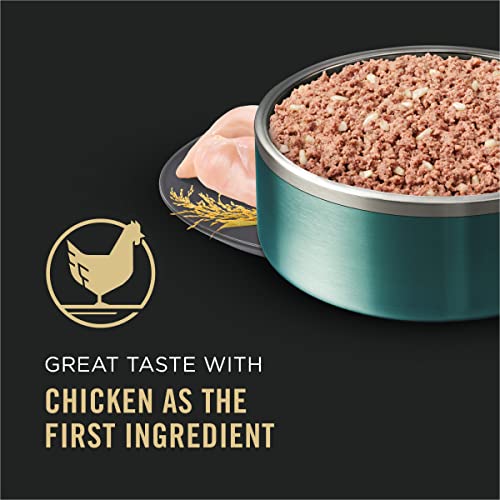 Purina Pro Plan Pate Wet Puppy Food, FOCUS Classic Chicken & Brown Rice Entree - (24) 5.5 oz. Cans