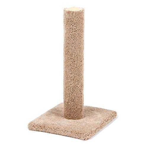 Classy Kitty 26" Carpet Scratching Post 16.5x14.5x26
