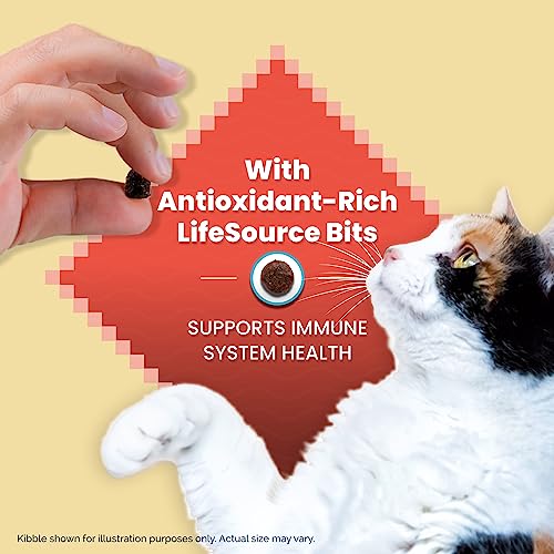 Blue Buffalo Wilderness High Protein Grain Free, Natural Adult Indoor Hairball & Weight Control Dry Cat Food, Chicken 11-lb