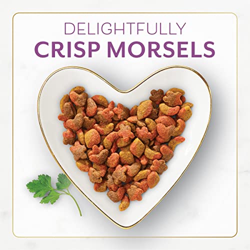 Purina Fancy Feast Dry Cat Food, With Savory Chicken & Turkey - 12 lb. Bag