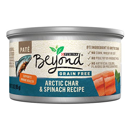 Purina Beyond Grain Free, Natural Pate Wet Cat Food, Grain Free Arctic Char & Spinach Recipe - (12) 3 oz. Cans