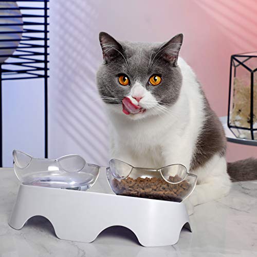 Elevated Tilted Cat Food Bowls for Indoor Cats