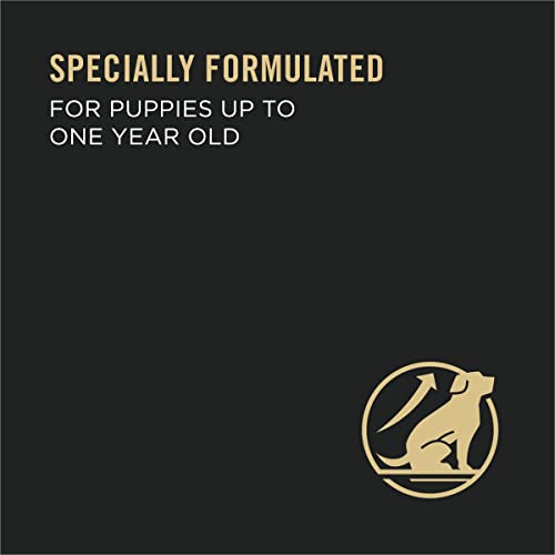 Purina Pro Plan Pate Wet Puppy Food, FOCUS Classic Chicken & Brown Rice Entree - (24) 5.5 oz. Cans