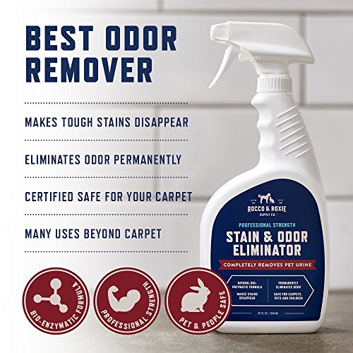 Rocco & Roxie Supply Professional Strength Stain and Odor Eliminator, Enzyme-Powered Pet Odor and Stain Remover for Dogs and Cat Urine, Spot Carpet Cleaner for Small Animal, 32 oz.