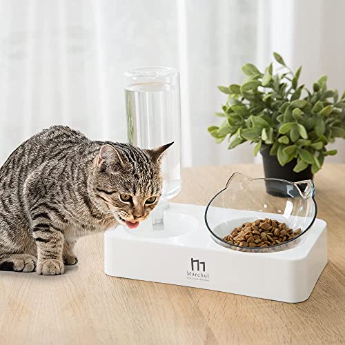 Marchul Tilted Cat Food Bowl with Feeding Mat