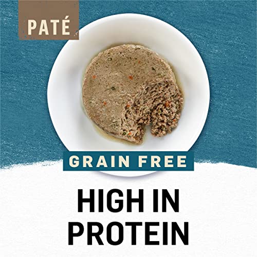 Purina Beyond Grain Free, Natural Pate Wet Cat Food, Grain Free Arctic Char & Spinach Recipe - (12) 3 oz. Cans