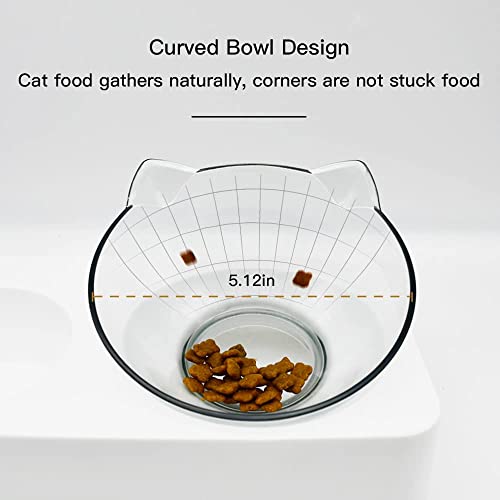 Marchul Tilted Cat Food Bowl with Feeding Mat