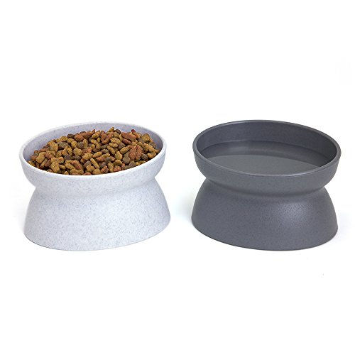 Kitty City Raised Pet Food Bowl Set