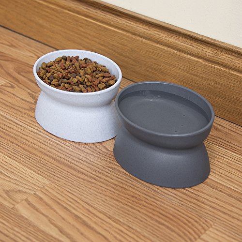 Kitty City Raised Pet Food Bowl Set