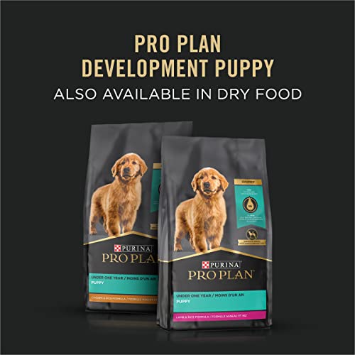 Purina Pro Plan Pate Wet Puppy Food, FOCUS Classic Chicken & Brown Rice Entree - (24) 5.5 oz. Cans