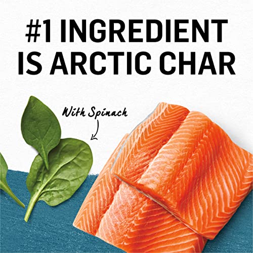 Purina Beyond Grain Free, Natural Pate Wet Cat Food, Grain Free Arctic Char & Spinach Recipe - (12) 3 oz. Cans