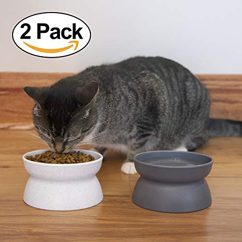 Kitty City Raised Pet Food Bowl Set