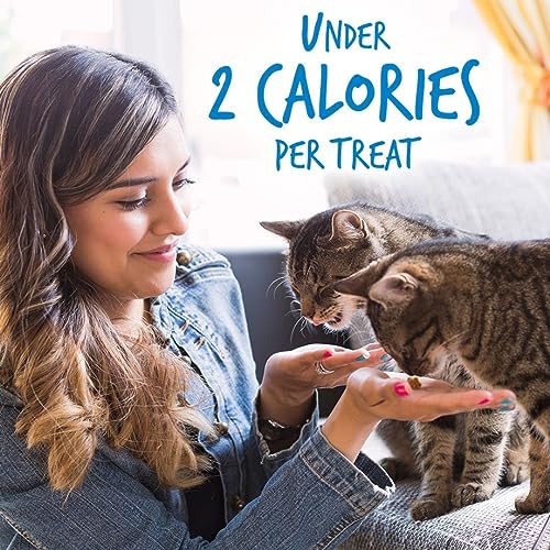 Fruitables Chicken and Blueberry Crunchy Cat Treats | Healthy Cat Treats with Limited Ingredients| Low Calorie | 2.5 Ounces, Model Number: 1030607