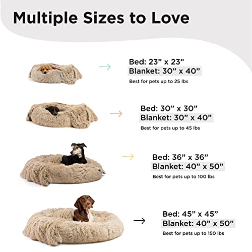 Best Friends by Sheri Bundle Savings - The Original Calming Shag Donut Cuddler Dog Bed in Small 23"" x 23"" and Pet Throw Blanket in 30"" x 40"", Taupe. (BND-DBT-SHG-TAU-23SM)
