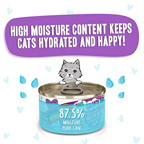 Weruva B.F.F. Omg - Best Feline Friend Oh My Gravy! Grain-Free Wet Cat Food Cans, Best Day Eva! Beef & Salmon, 2.8-Ounce Can (Pack of 12)