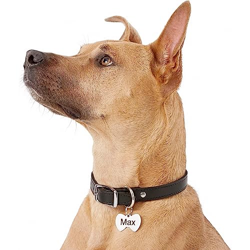 GoTags Stainless Steel Pet ID Tags, Personalized Dog Tags and Cat Tags, up to 8 Lines of Custom Text Engraved on Both Sides, in Bone, Round, Heart, Bow Tie, Flower, Star and More (Bowtie, Regular)