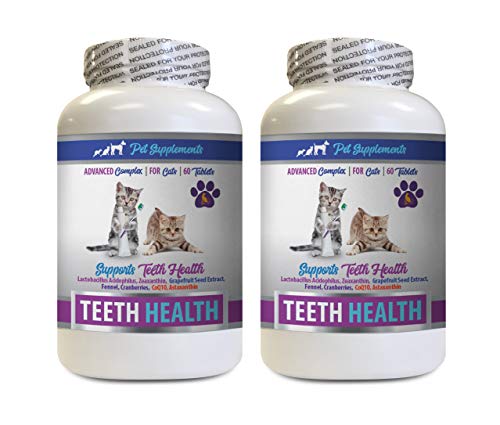 cat Oral Health - CAT Teeth Health - Advanced Mouth Health Complex - Immune Boost - cat Vitamins Senior Chews - 2 Bottles (120 Tablets)