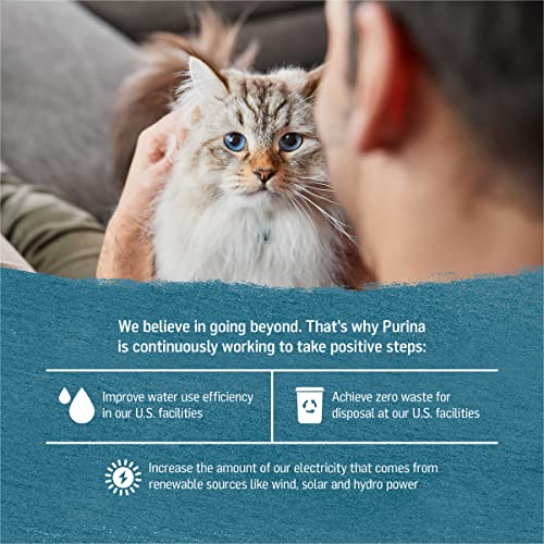 Purina Beyond Grain Free, Natural Pate Wet Cat Food, Grain Free Arctic Char & Spinach Recipe - (12) 3 oz. Cans