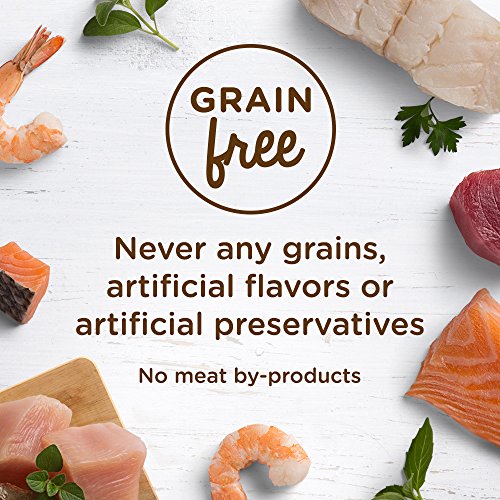 Rachael Ray Nutrish Natural Wet Cat Food, Beef & Chicken Catterole Recipe, 2.8 Ounce Cup (Pack of 12), Grain Free