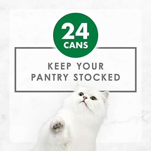 Purina Fancy Feast Grain Free Wet Cat Food, Chunky Chicken Feast - (24) 3 oz. Cans