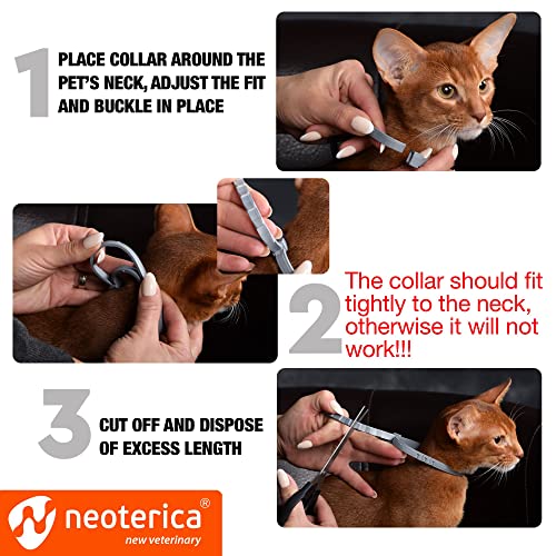 Flea & Worm Collar for Cats - Flea Control and Tick Treatment - Better than Oral Flea Control - Cat Dewormer - Cat Worm Treatment for Tapeworms